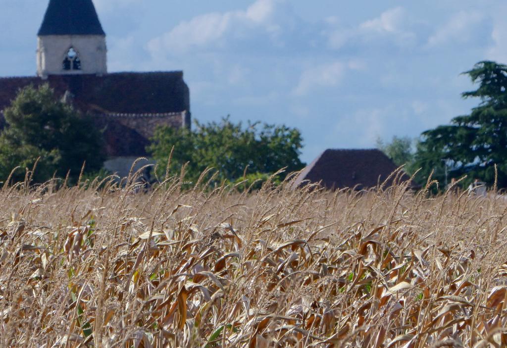 La Cachette De La Roche-Guyon Lägenhet Exteriör bild